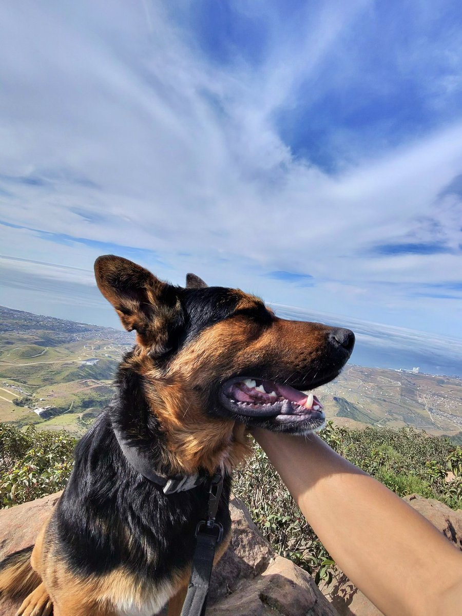 DepressedMDFK tweet media