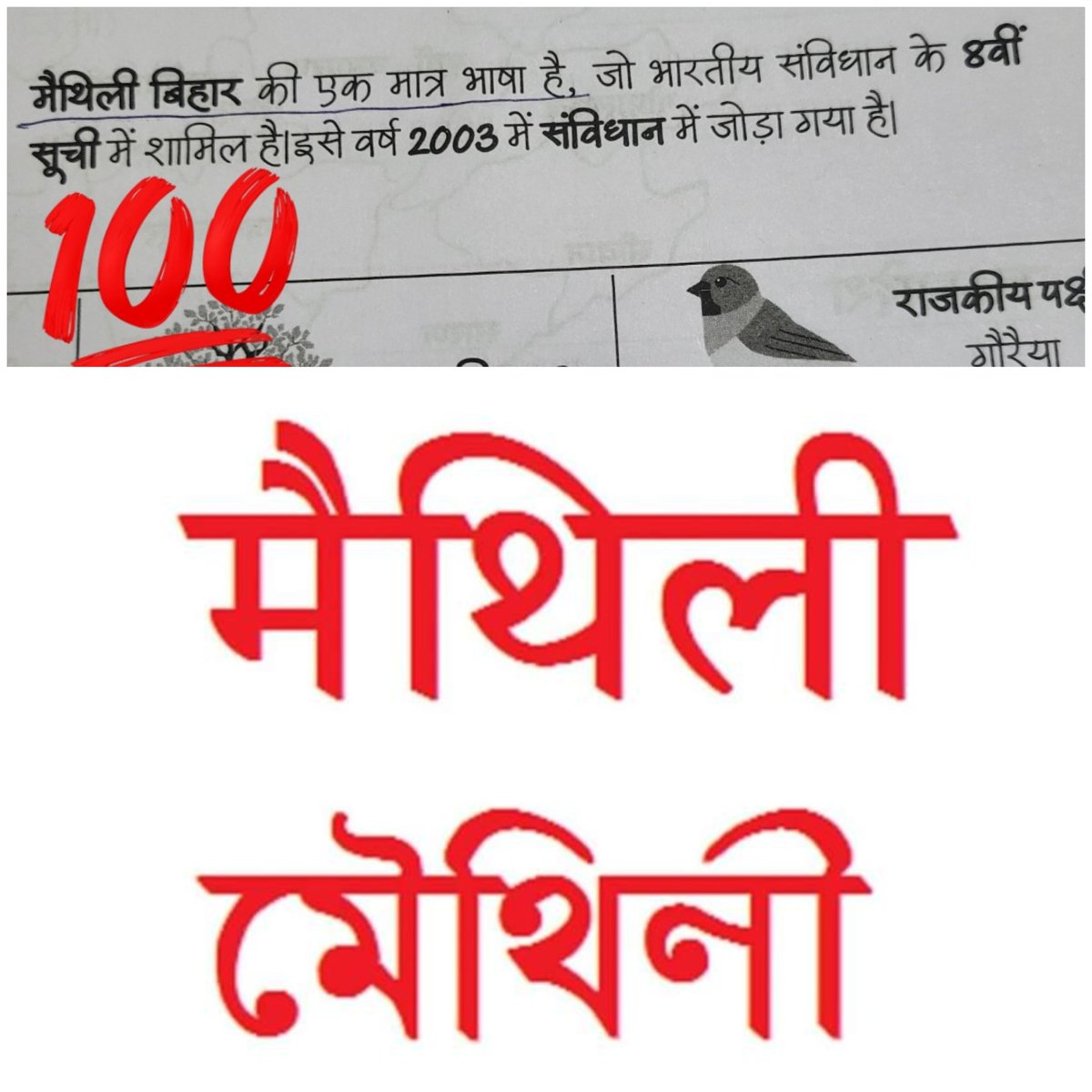शुभभिंनसर मिथिलावासी 💐🎊🐟🐟🐟 
मैथिली हमर मातृभाषा 💯🚩 
मिथिला धाम हमर गाम ❤️