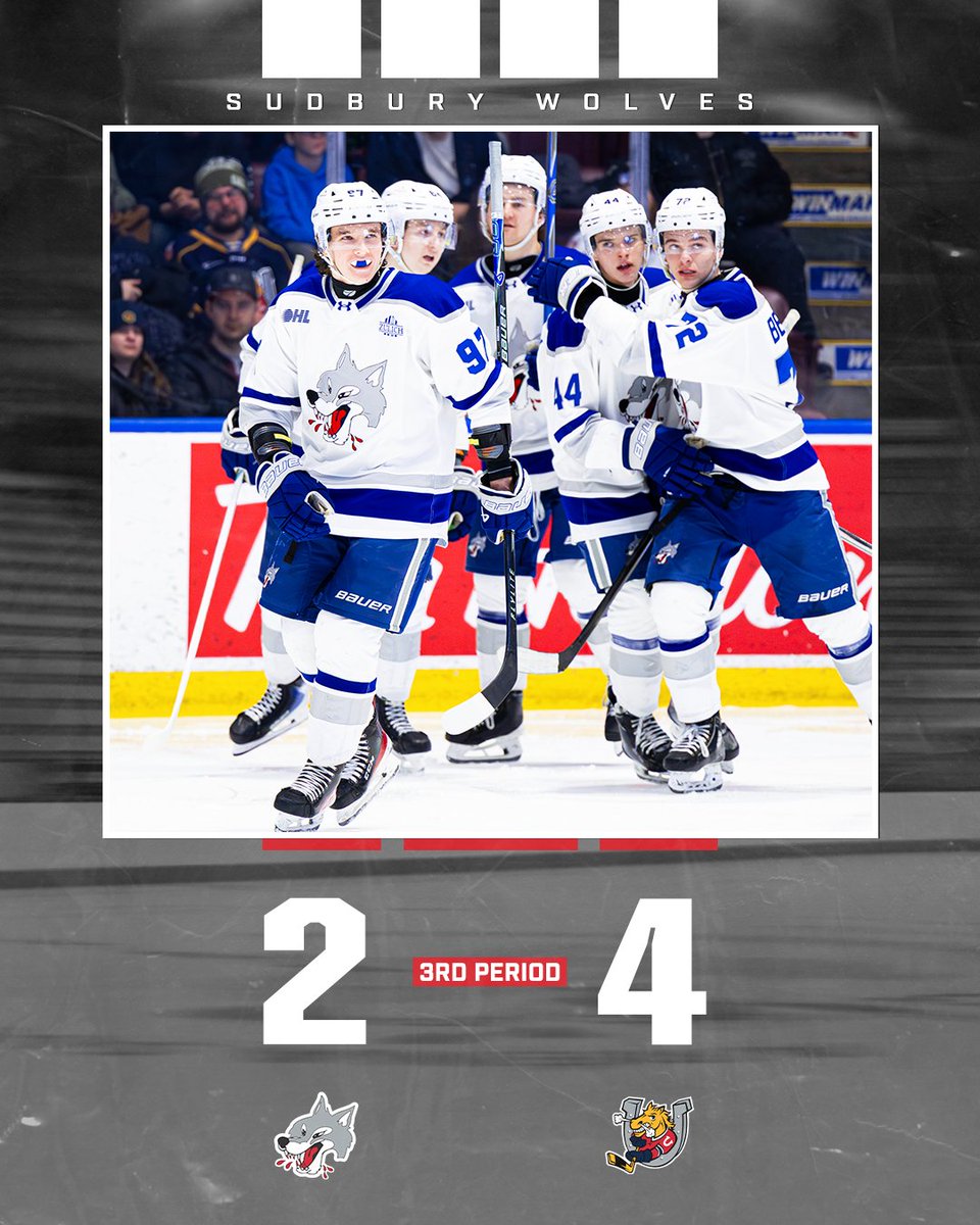 Sudbury Wolves tweet media