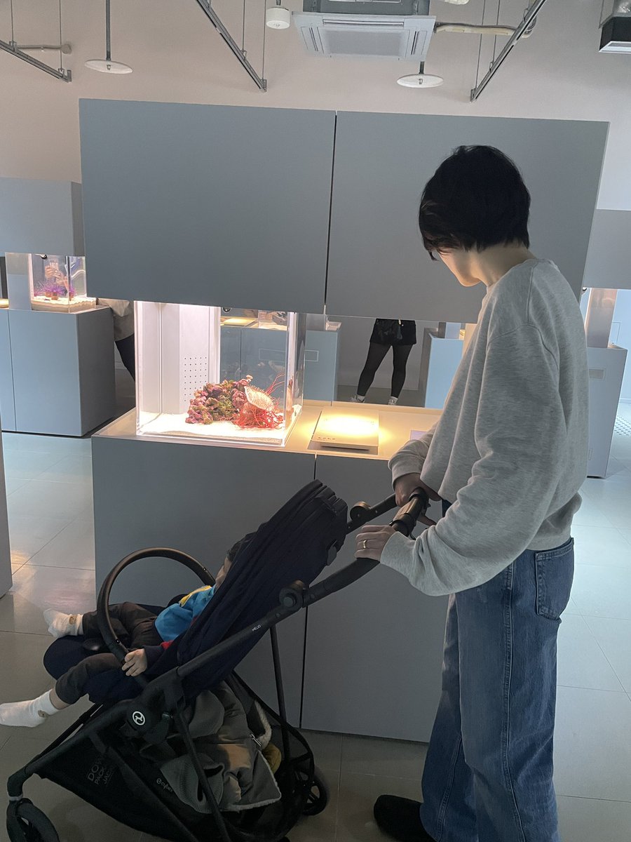 cebutsuma's tweet photo. 初(ミニ)水族館🐧興味を持っていたようないないような。笑 https://t.co/8fwp6ZBcXo