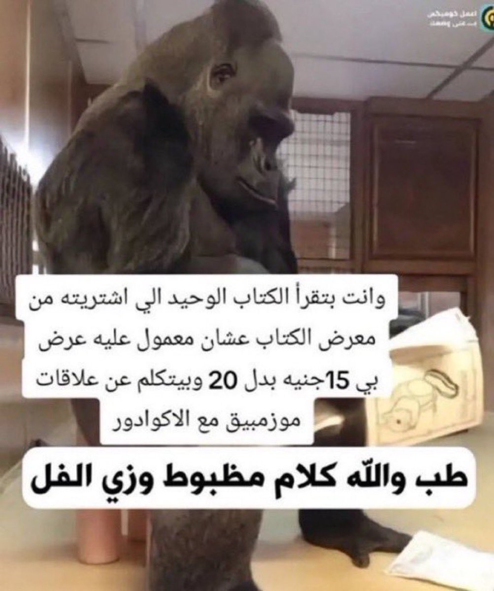 Abdulrahman tweet media