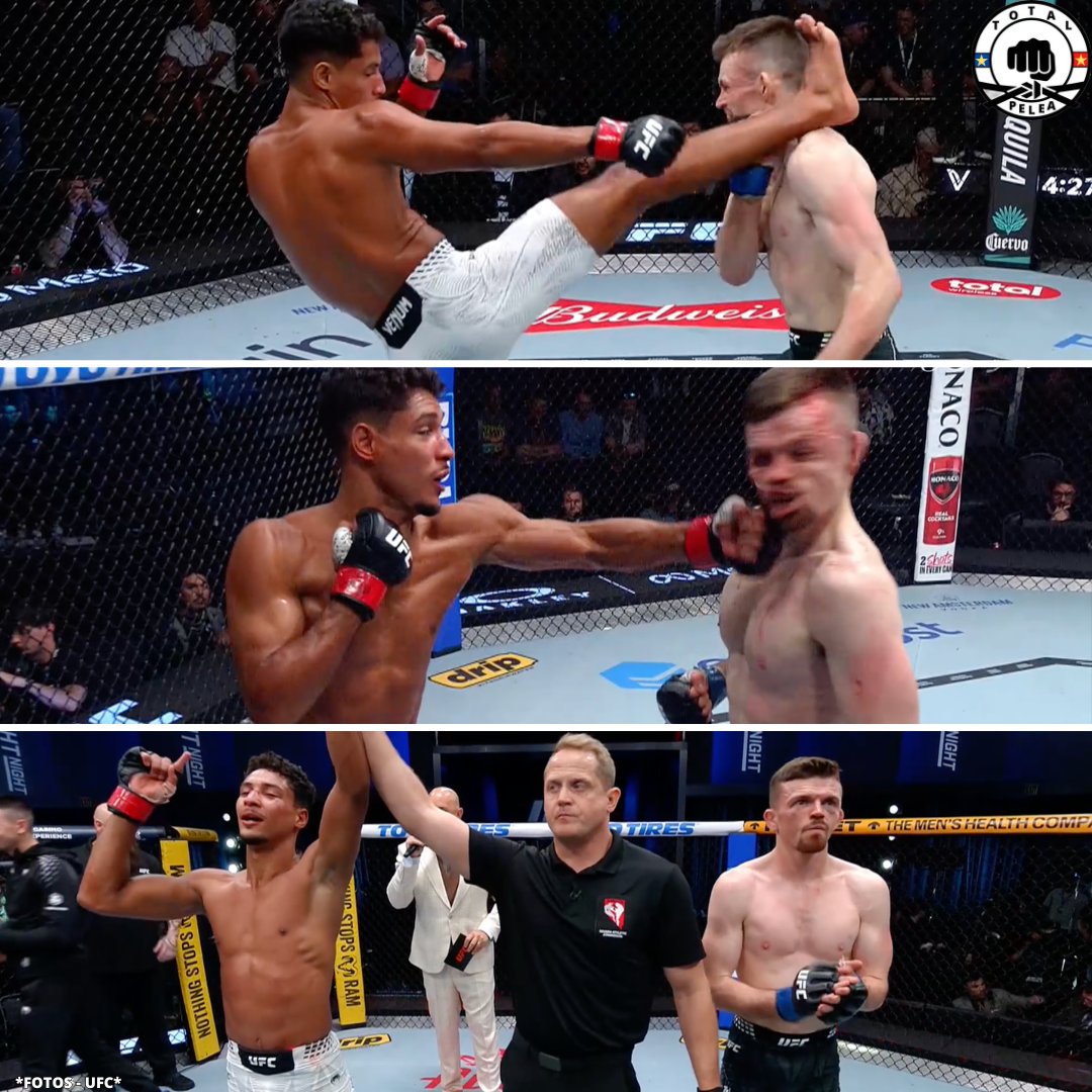 TotalPelea tweet media