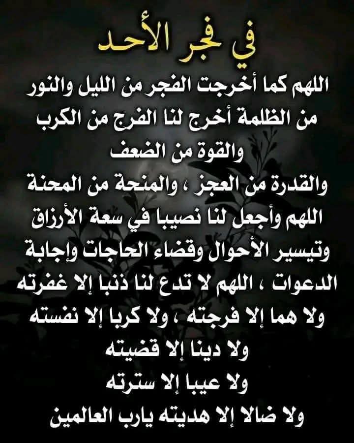 🤲اللهم امين يارب العالمين 🤲