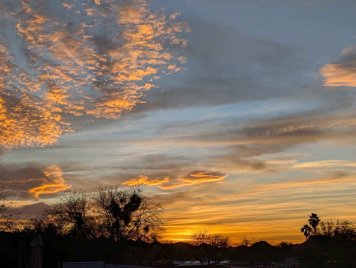 Rattlesnake Matty tweet media