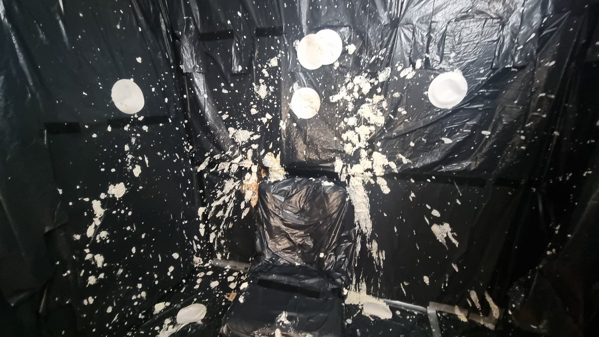 Shads NFC 🇸🇪 Twitch cat tweet media