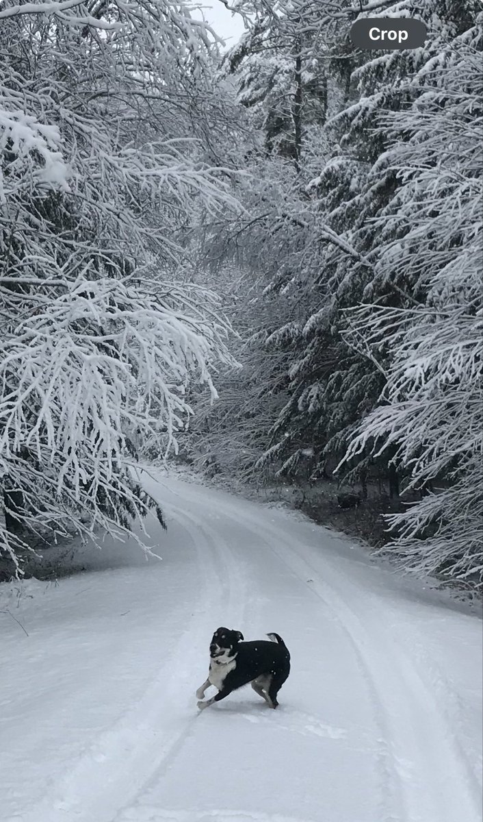abell2018's tweet image. Northern Vermont