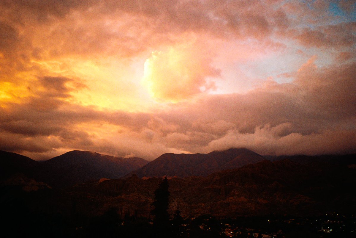 nomadic 🎞️ tweet media