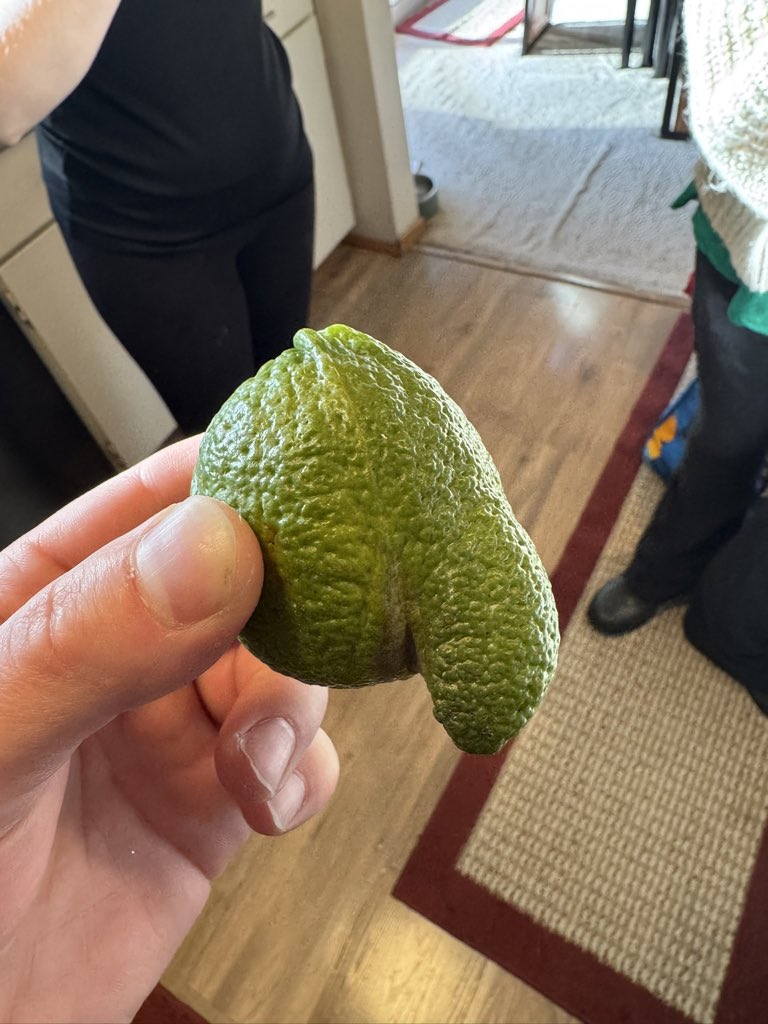 Norman Ⓜ️ tweet media