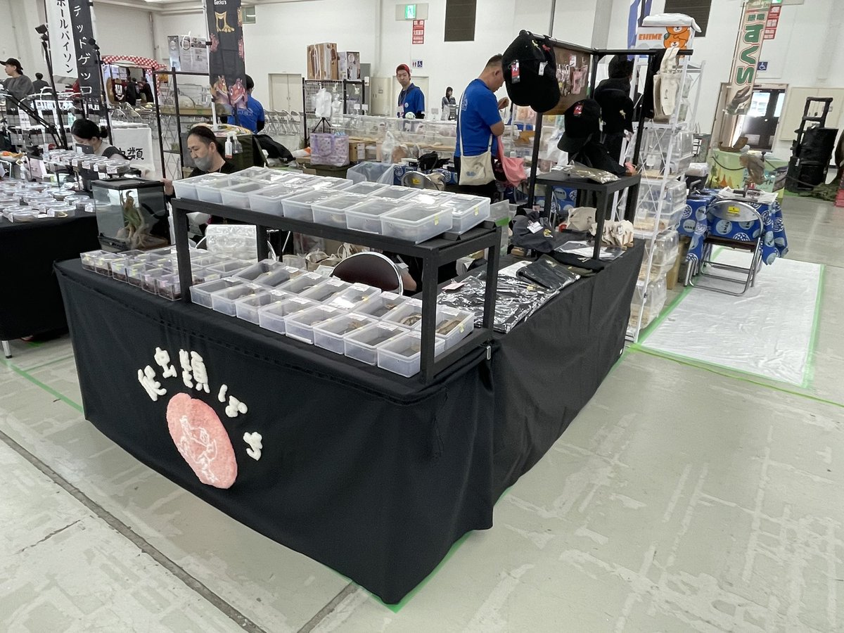 爬虫類ぽわ tweet media