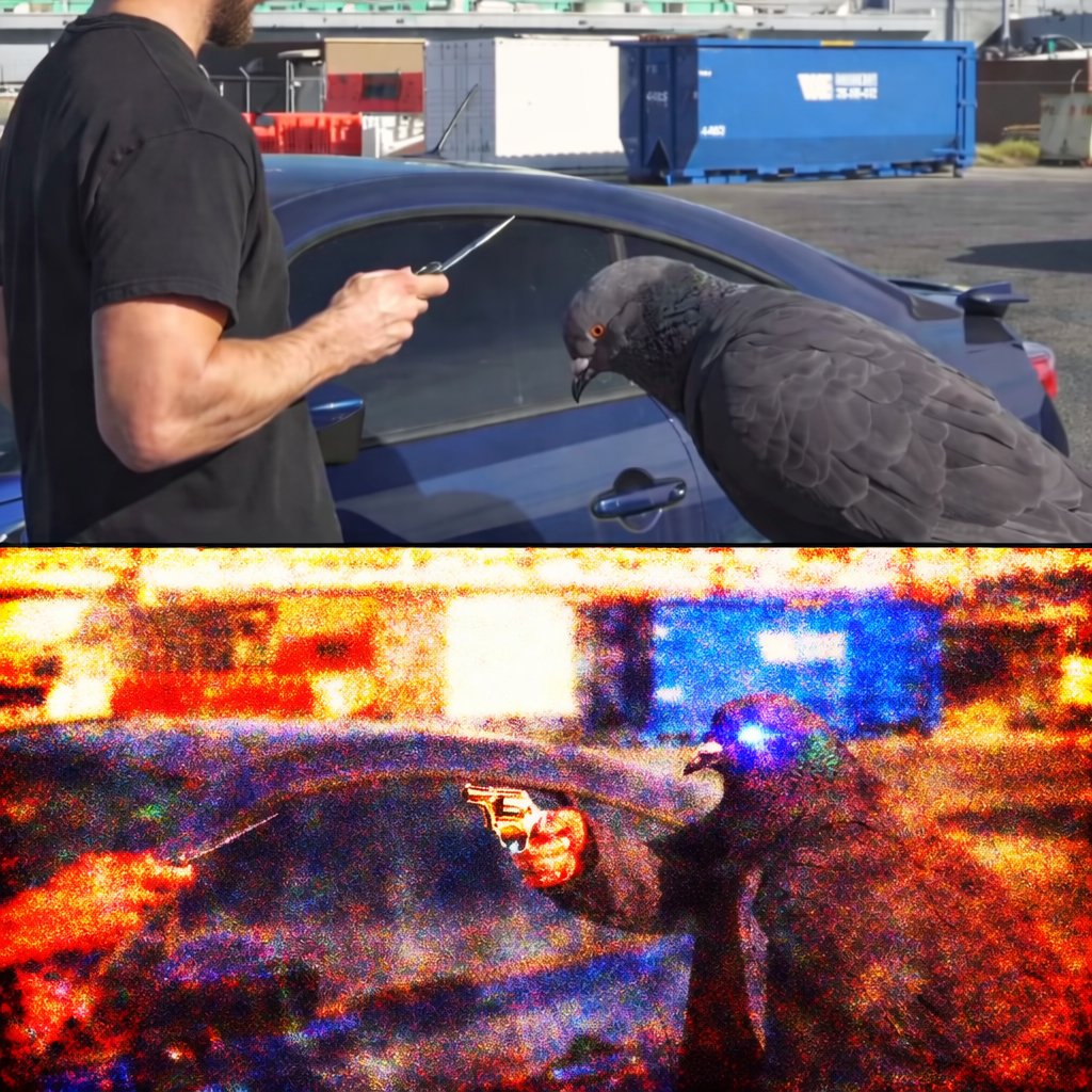 Todd Tootinheimer tweet media