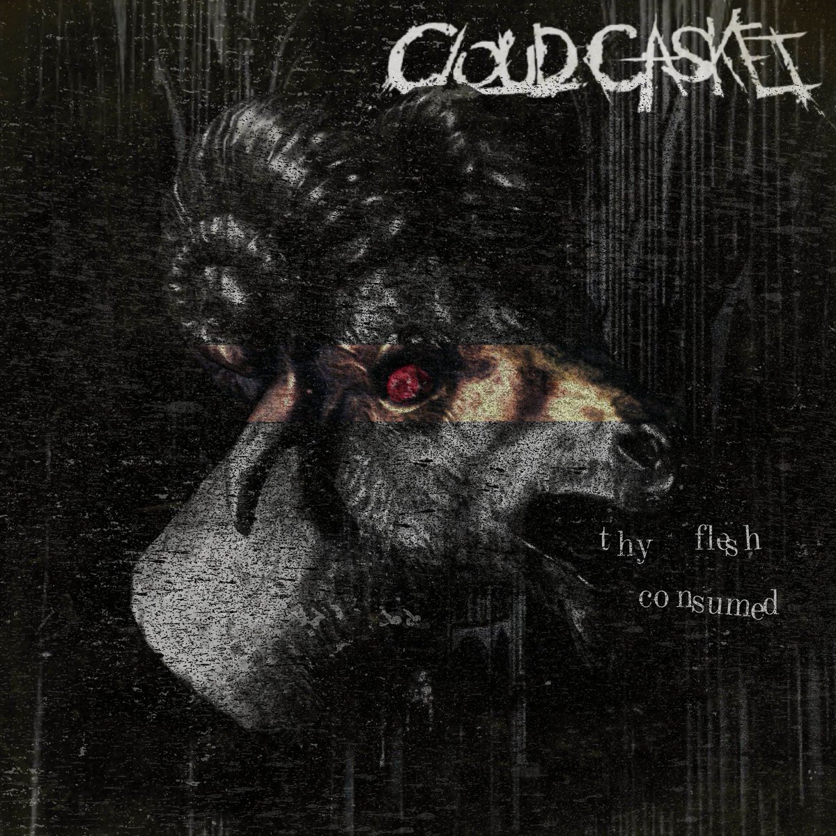 Cloud Casket tweet media