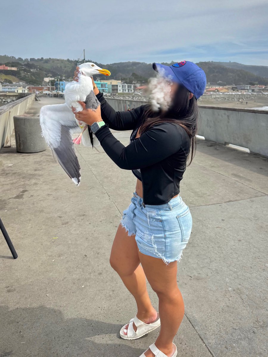 Luna Comer • Silicon Valley tweet media