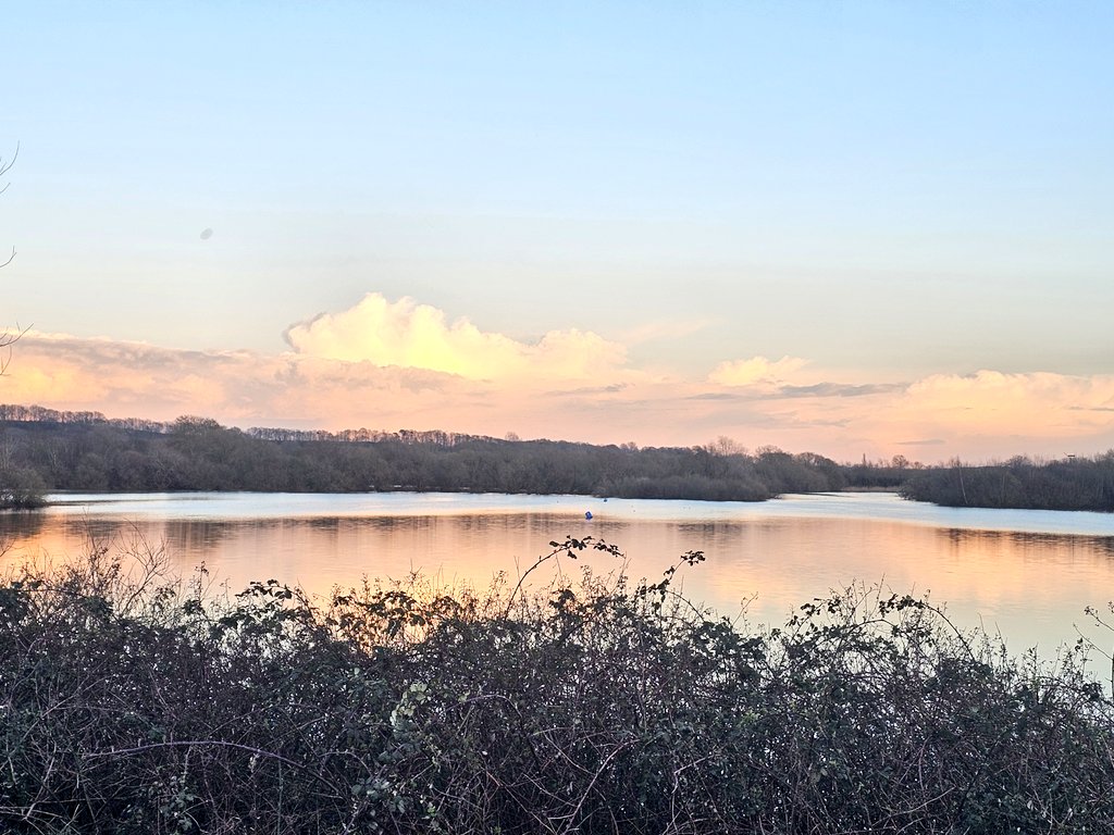 Patrick greenfield👥 tweet media