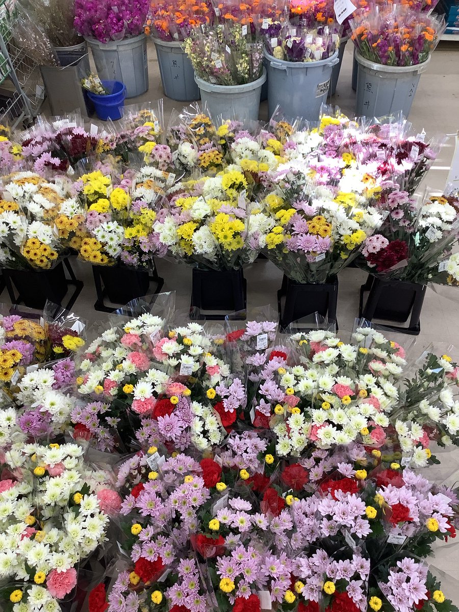 JA95122019's tweet photo. 本日の切花入荷状況です！ https://t.co/1X2iTpdH3E