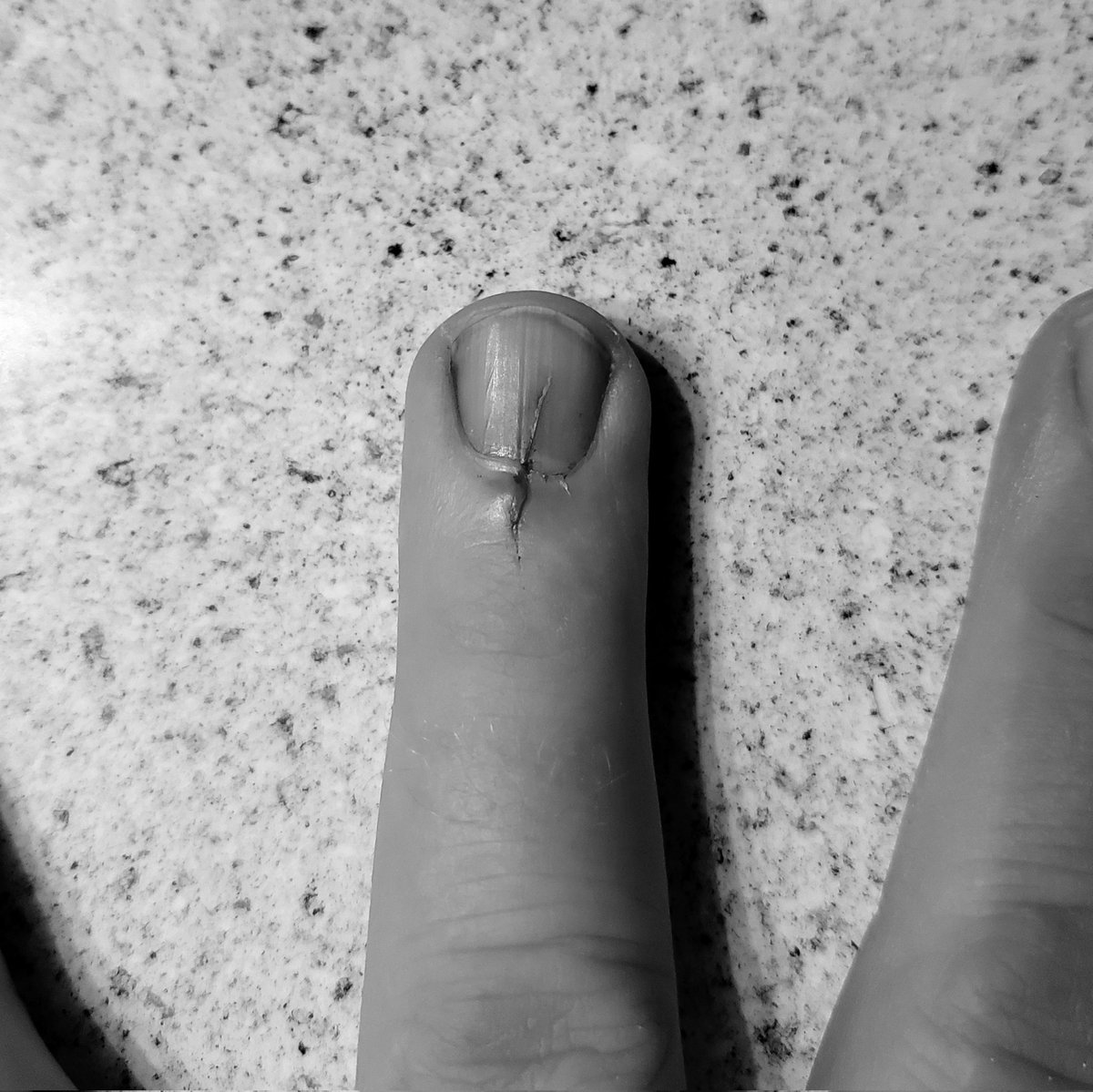 Dick Dangle tweet media