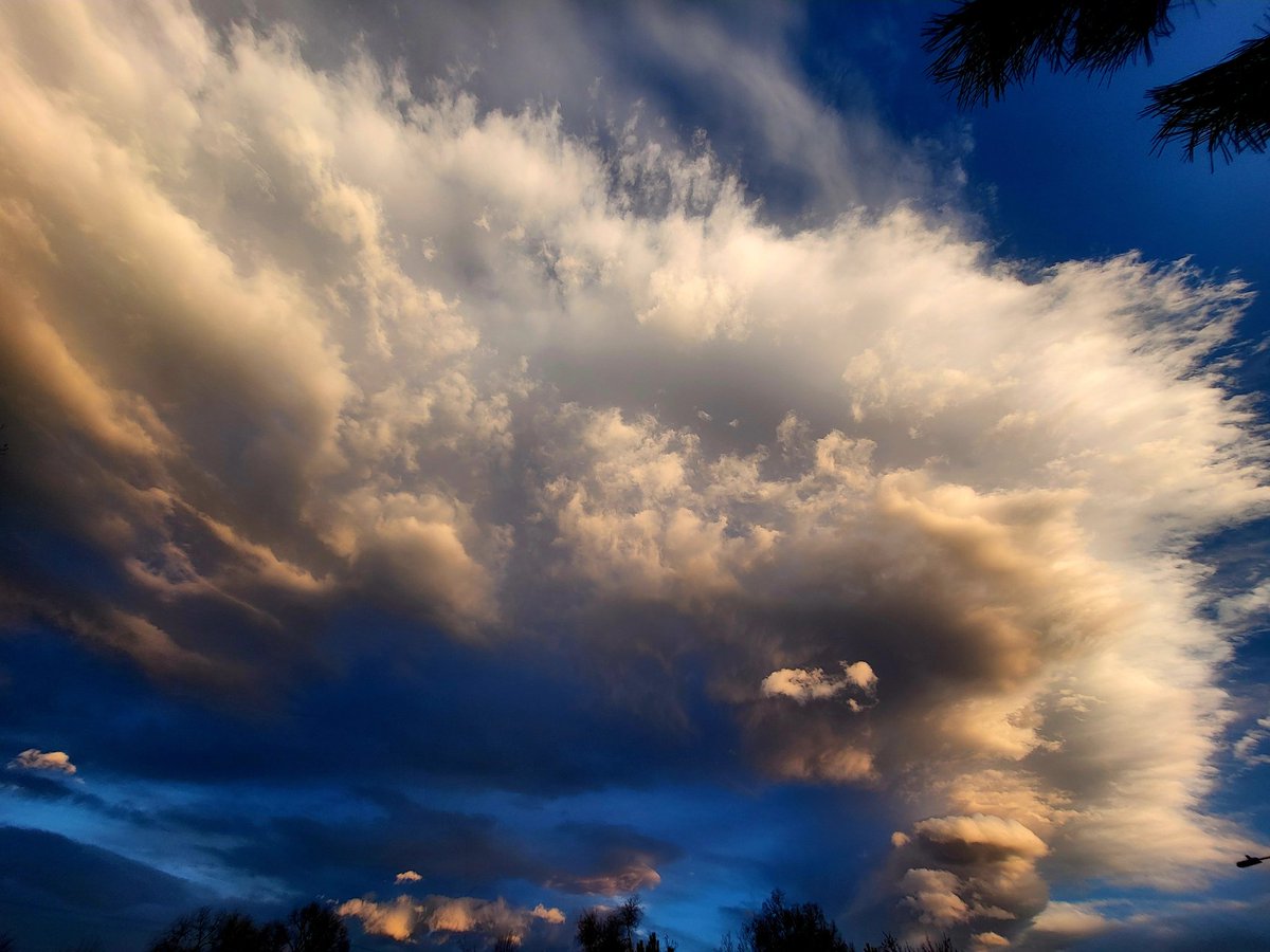 TamiK_Colorado's tweet image. Wild skies in the #wild #west tonight 💙 very #windy #wx
