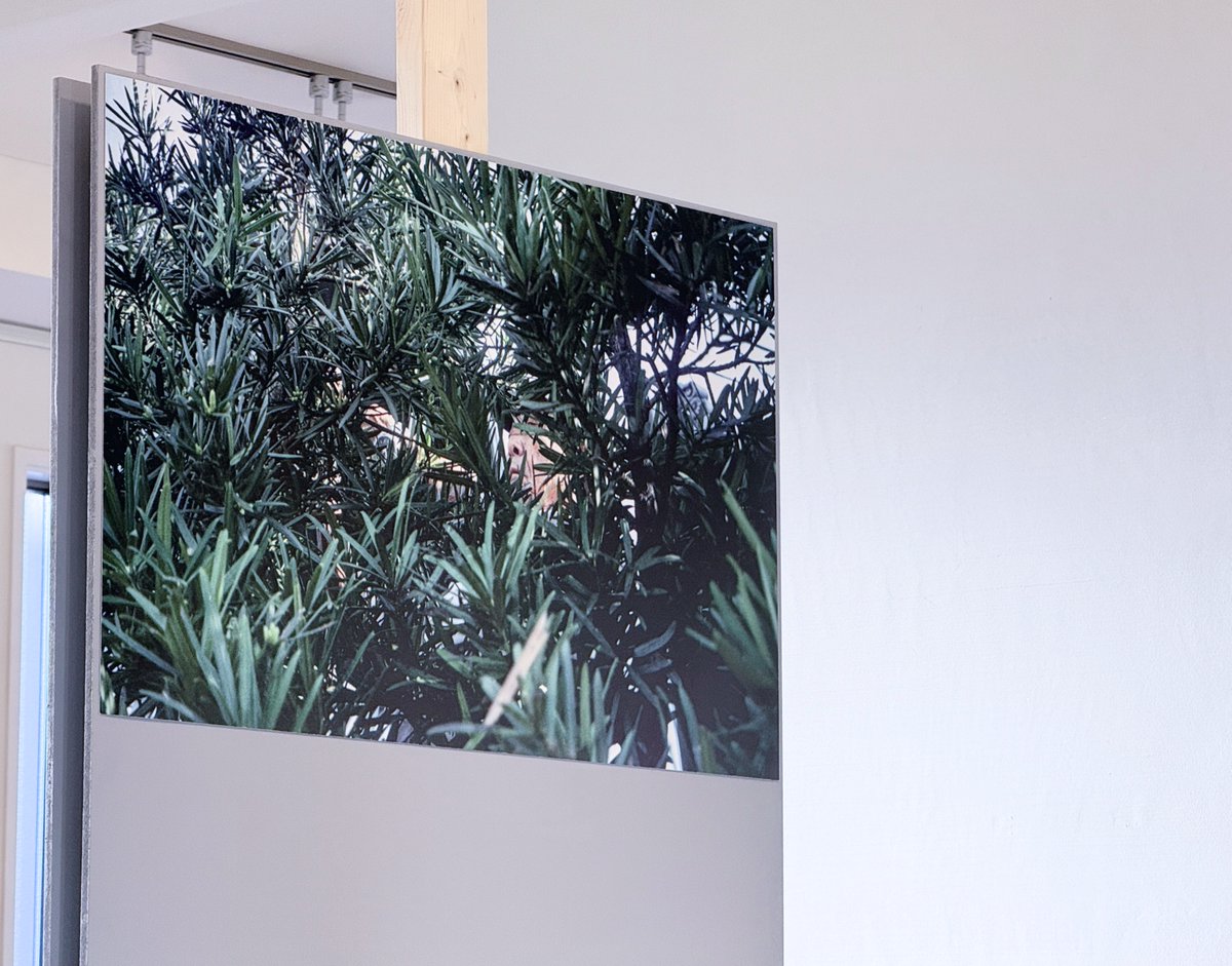 birdo space &本多工房　by birdo flugas tweet media