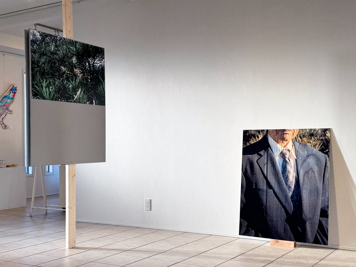 birdo space &本多工房　by birdo flugas tweet media