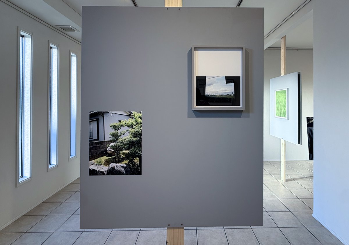 birdo space &本多工房　by birdo flugas tweet media