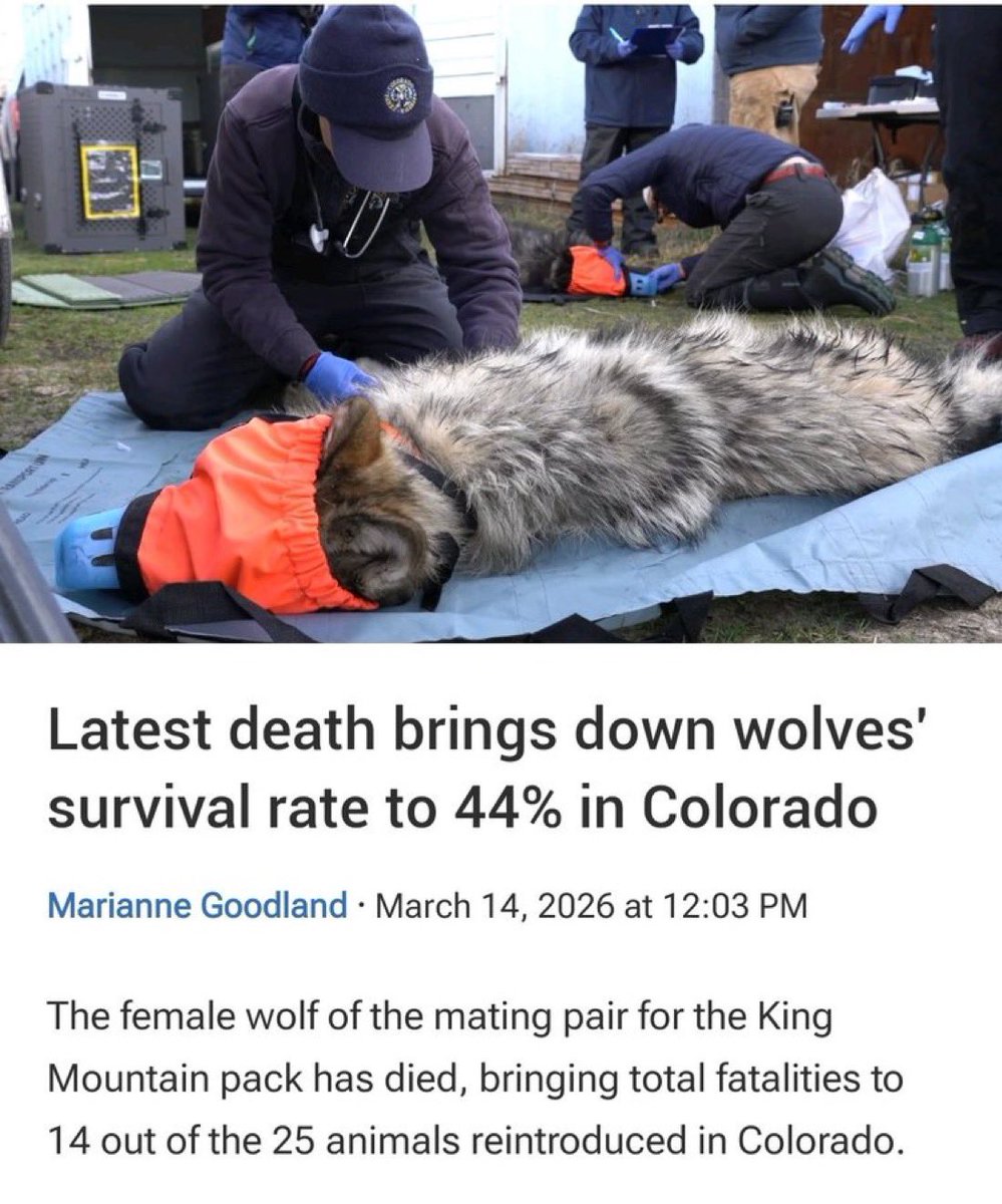 Mountain Views 🗻👀 tweet media