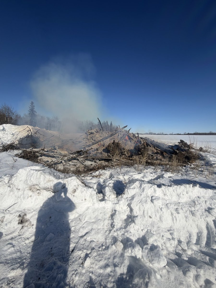 Dylan Robinson tweet media