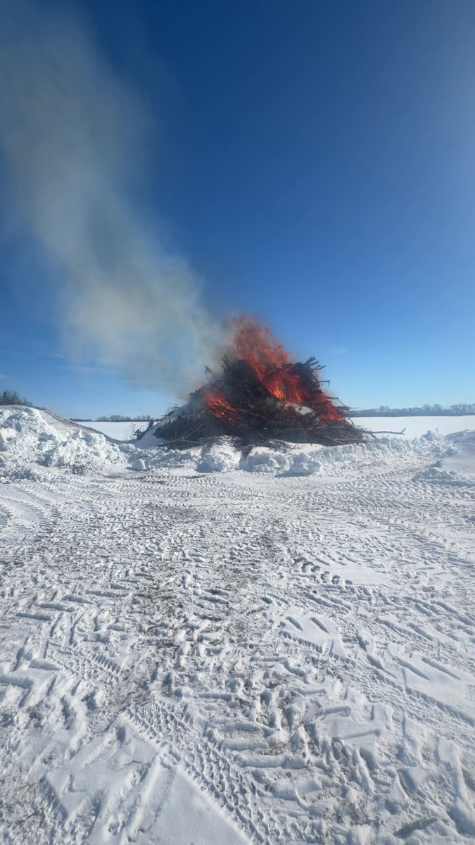 Dylan Robinson tweet media