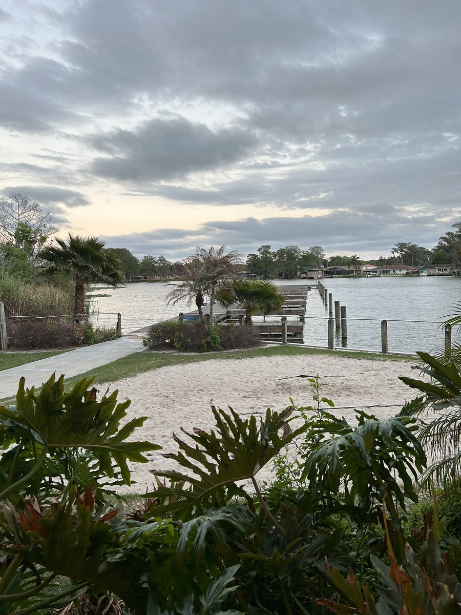 JenDean825's tweet image. I’m so blessed and lucky to call this place home 🌴☀️ #floridaliving