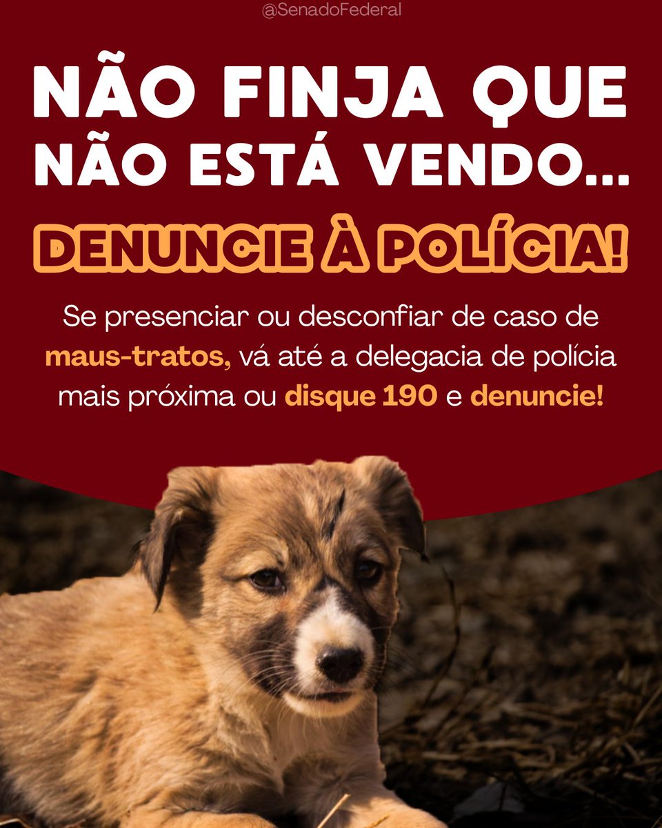 Coletivo em Defesa da Vida. tweet media