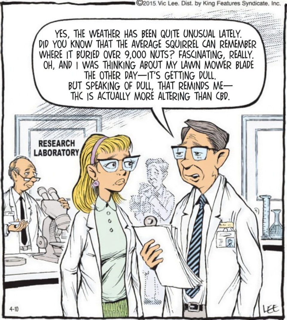 Nimpet🪐💜 tweet media