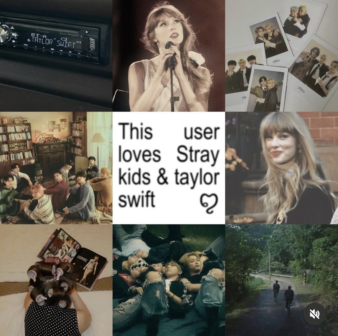 the stray kids swift supremacy