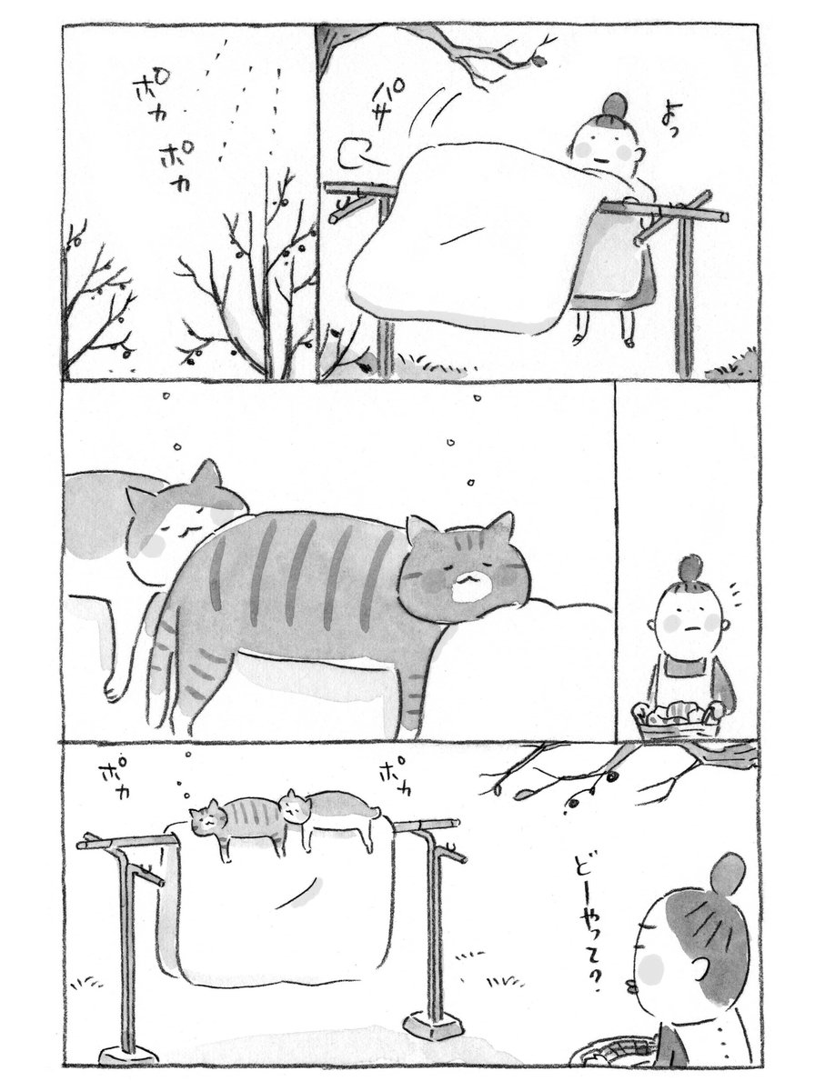ねこまき倉庫 (@nyanta_mikan) on Twitter photo 