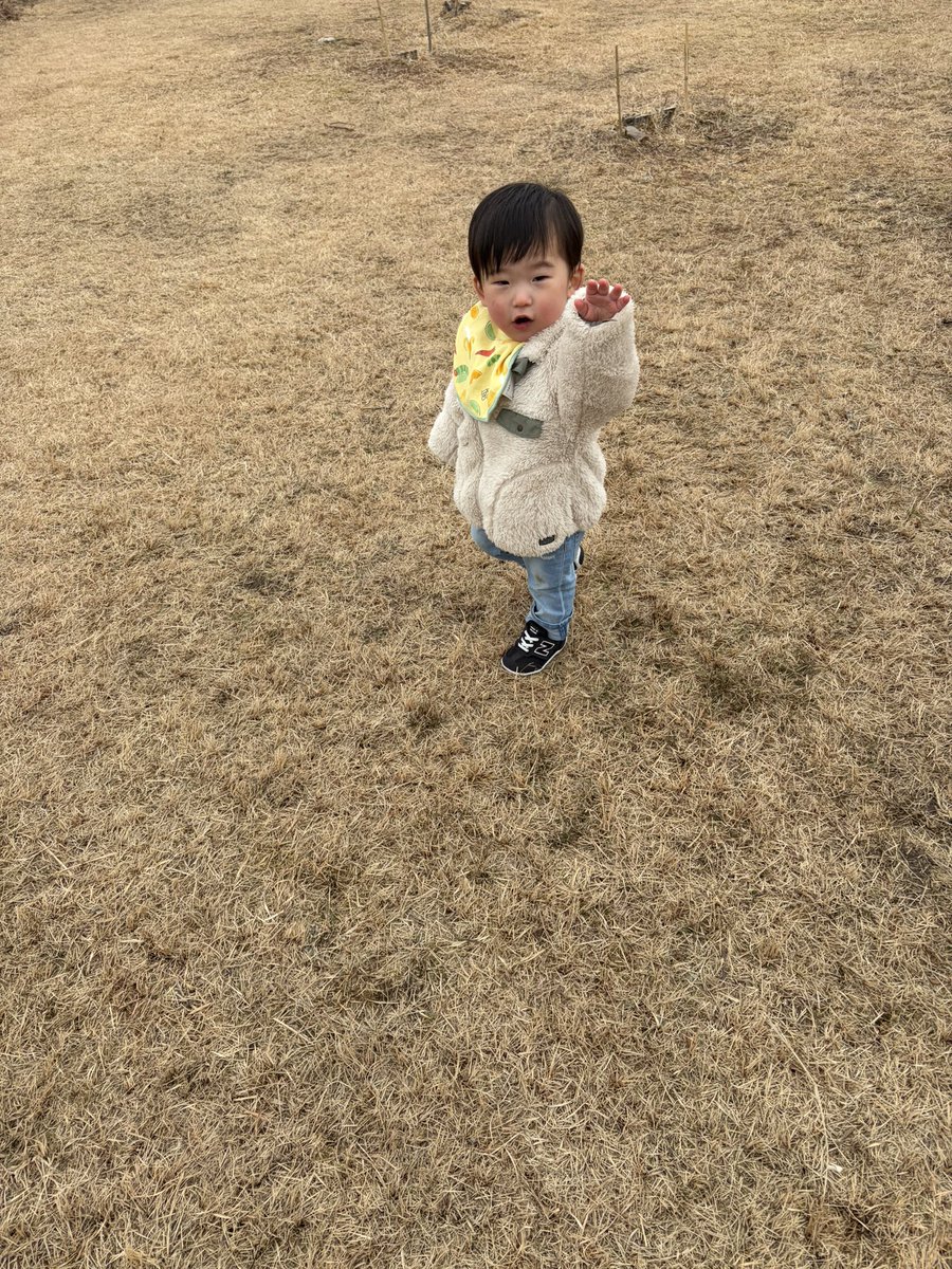 rtr104006's tweet photo. 菜の花より走りたい https://t.co/0oEr2sczN6