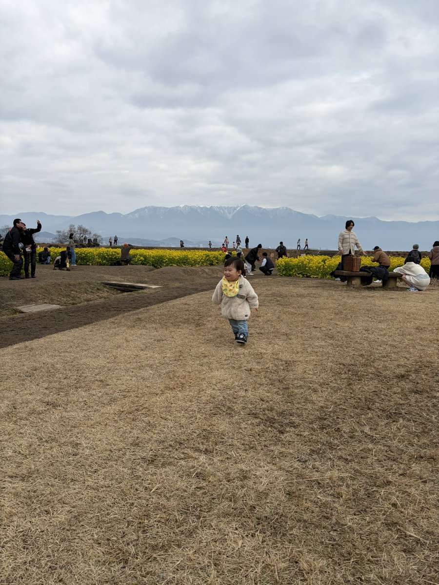 rtr104006's tweet photo. 菜の花より走りたい https://t.co/0oEr2sczN6