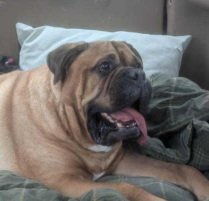 J.D. Flynn tweet media