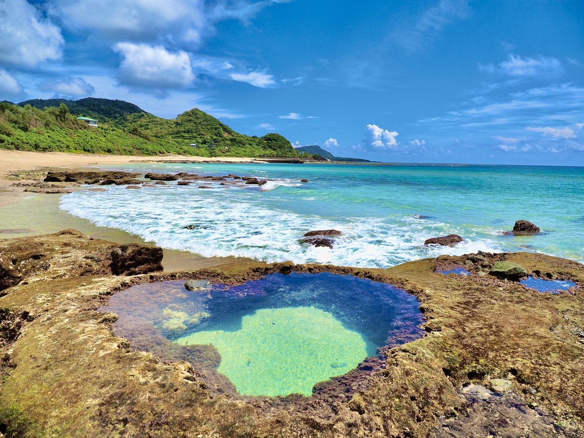 Nature Sounds Japan tweet media