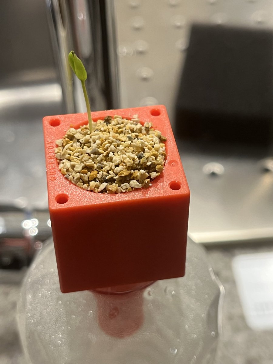 近藤 勉【ELEMENT GROUP】🫶 tweet media