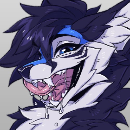 ANTLEREDVULTURE's tweet photo. 💙🤍 https://t.co/9LtUnDbUV9