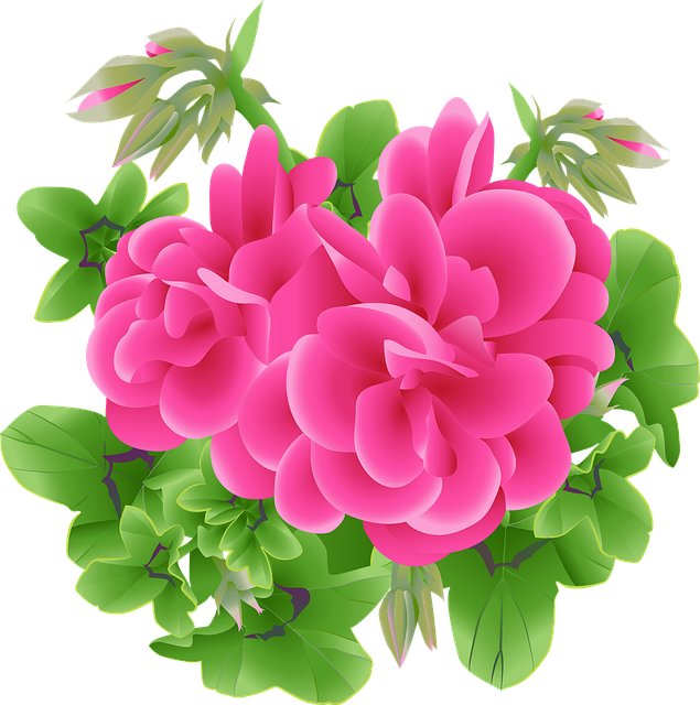 Tracy Gomez tweet media