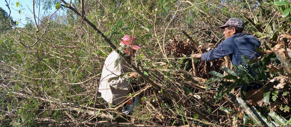 romanrl87's tweet photo. La utilización de residuos forestales adquiere una relevancia estratégica en el contexto del @proyectomicosta al proveer un #biocombustible sólido, de alto poder calórico y con bajas emisiones contaminantes.
@ArmandoRguezB
@PNUDCuba @theGCF https://t.co/71QWeOnWEp