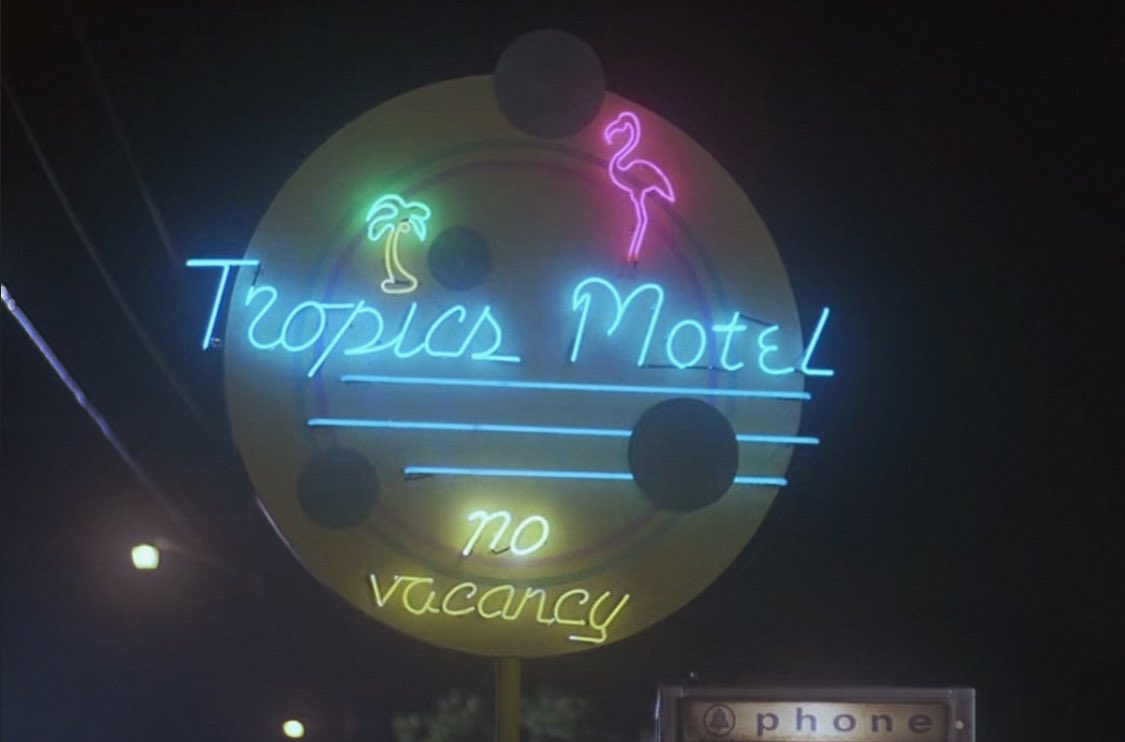 Alexander August 🌞🌴 tweet media