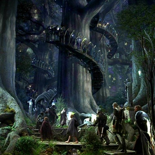 rektdiomedes tweet media