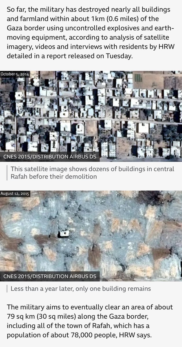 Alex Fox tweet media