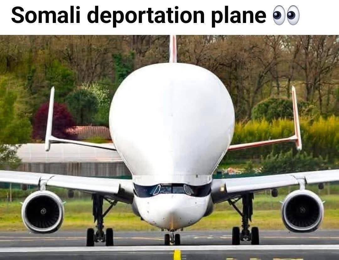 Comfortably Smaug tweet media