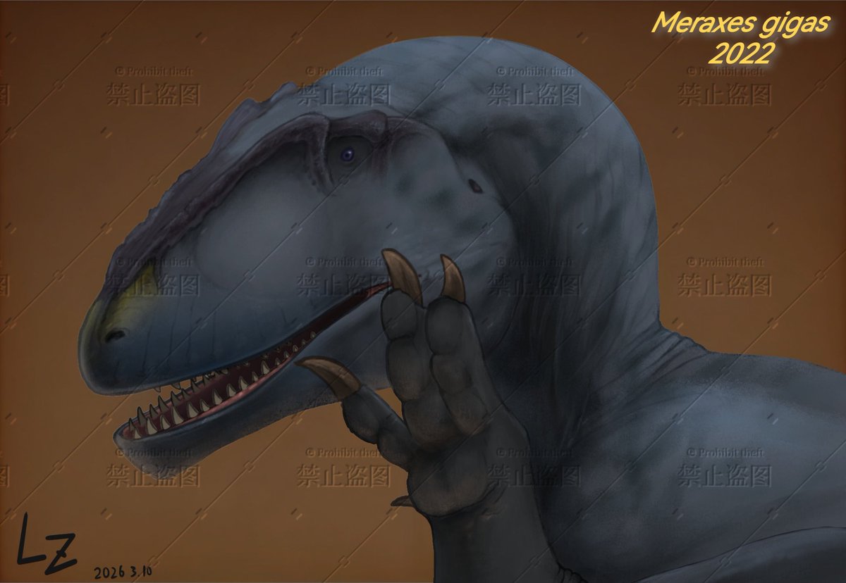 幻梦dreammmm tweet media