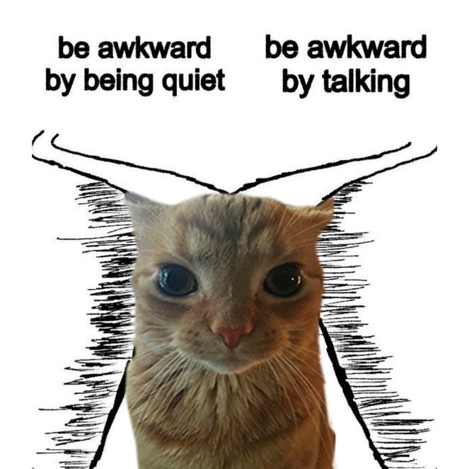 GaK (@gakstercat) on Twitter photo 