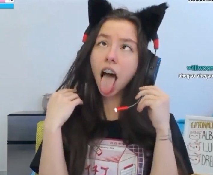 🐻Ken🦁 tweet media