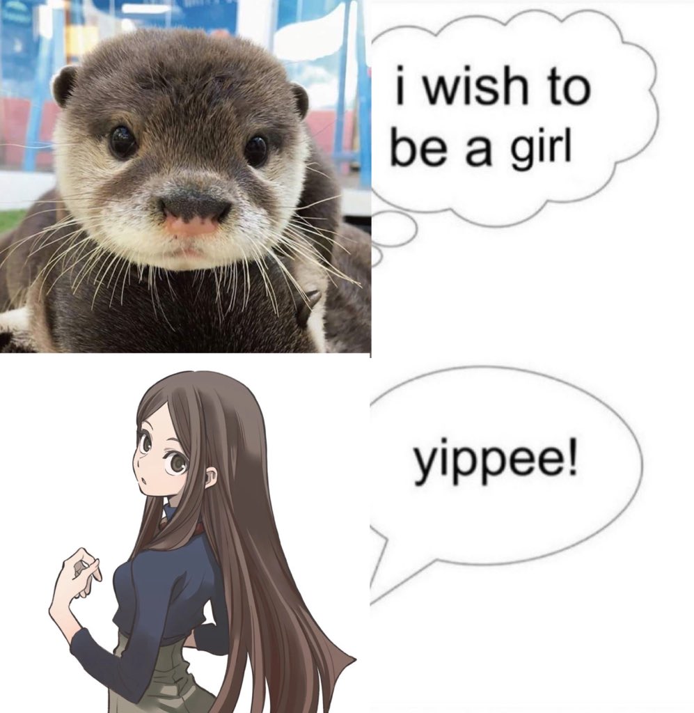 Tomme Mima 🚯 tweet media