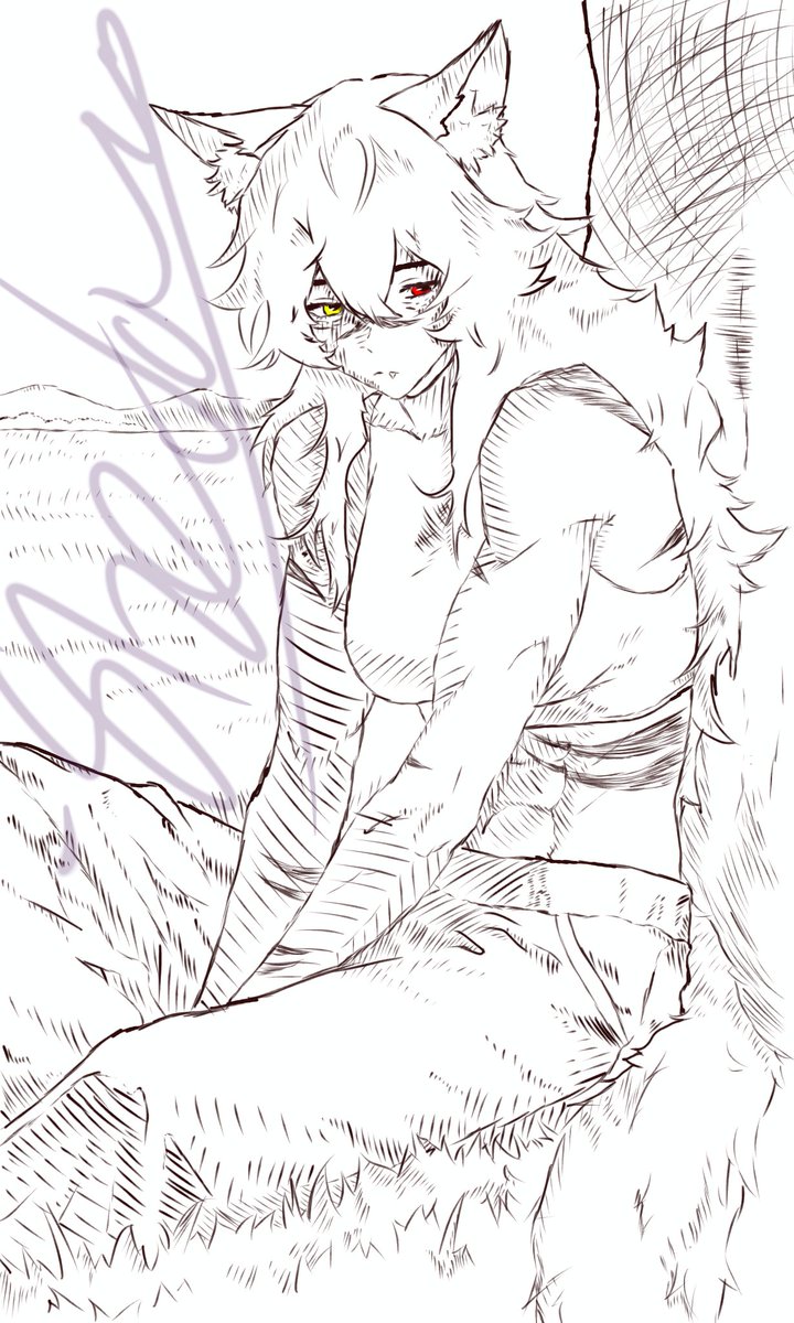 Aka Shadow tweet media