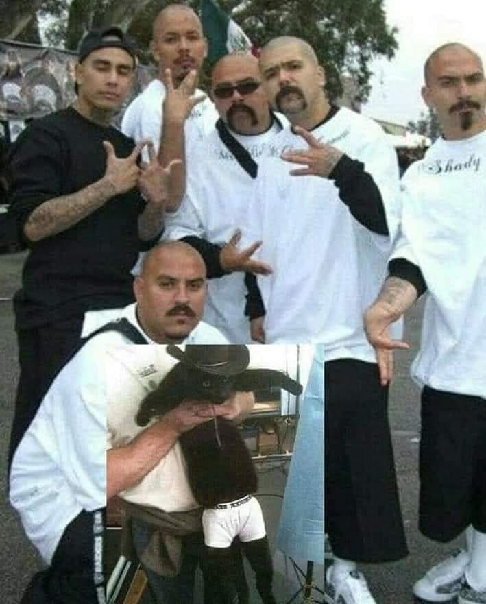 Punch Cat tweet media