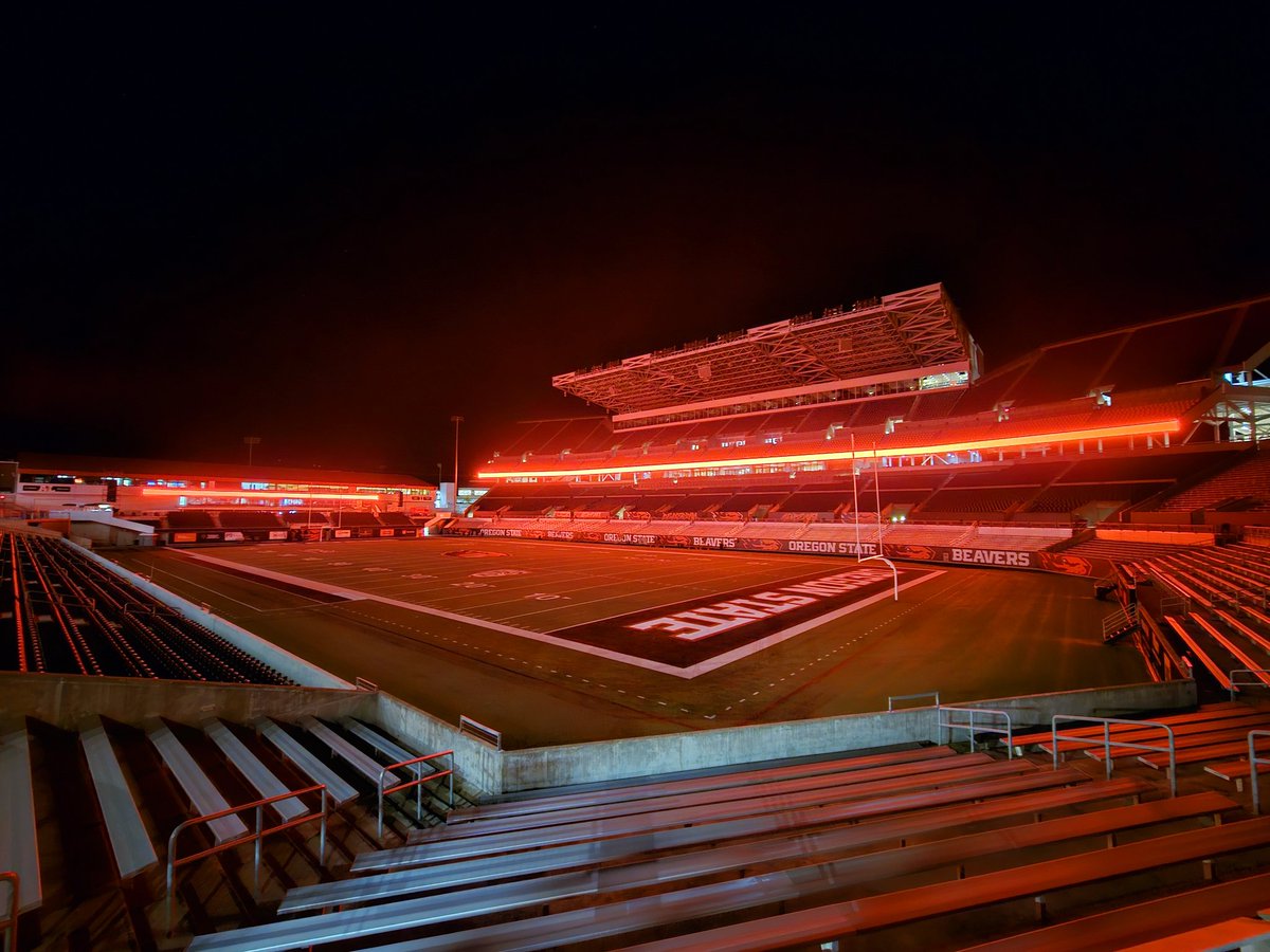 Steve Bell tweet media